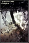 Macro04web