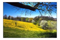 Un_giorno_di_primavera