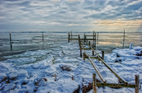 Ydsc_1772