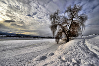 _dsc4685_fhdr