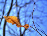 Img_9499_tonemapped_filtered