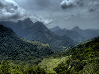 Cloud_forest