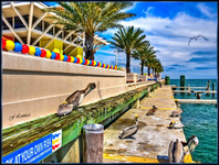 P2272590_1_2_tonemapped