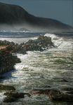 Plett