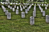 Arlington