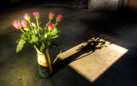 Ruzei_pp