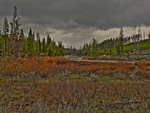 Yellowstone-np-3
