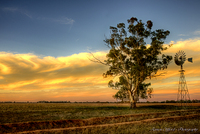 Hdr_gum_0021_19_20_net