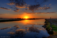 Waranga_chanel_0054_net