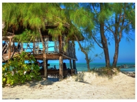 Zanzibar_beach_2