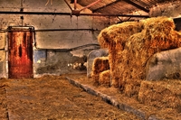 Barn