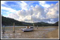 Low_tide