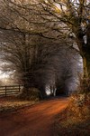 Frozen_lane