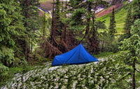 Campsnow