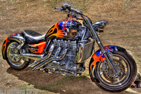 Trumpy_0179_net