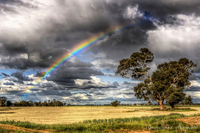 Bow_over_gum_9_9_09_10_net