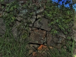 Muro