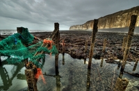 _dsc5138_tonemapped