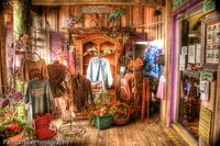 20100315-cedar_key-202_3_4