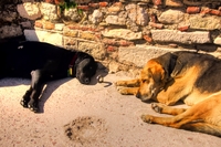 Nap_at_acropolis