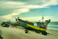 Pict3931