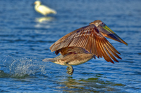 Hdr_singles-3