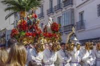 Pollinica_m