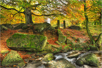 Woodland_in_autumn_1280