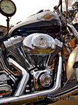 Harley2