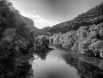 Lored-b-w