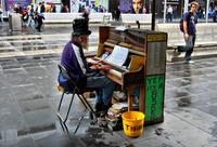 Dsc_0951r