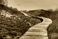 Plum_island_newburyport-5