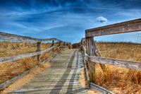 Plum_island_newburyport-4