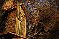 Moms_house-2