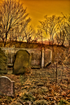 Grave_yard_final-5