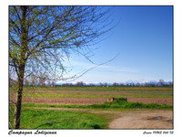 Campagna_lodigiana