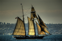 _dsc7416_tonemapped