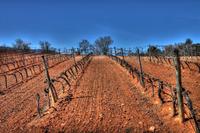 La_rioja_21