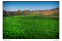 Mare_verde