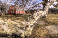 Ppppppp_031_2_3_tonemapped