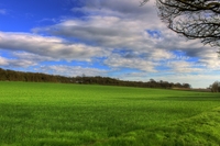 Img_1381_2_0_tonemapped