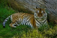 _dsc2549_tonemapped