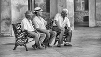 Grandfather_bn