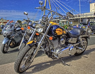 Harley