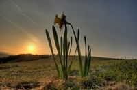 Dsc_5425_6_7_tonemapped
