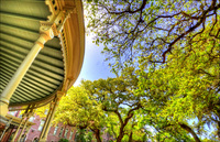 U_of_t_hdr_01