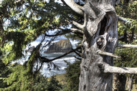 Impermanence_at_ecola