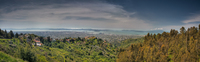 20100417-dsc_0784_5_6_pan