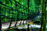 Rope-bridge-nature-river-hdr-photography