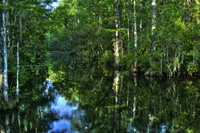 Sweetwater